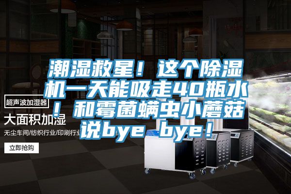 潮濕救星！這個除濕機一天能吸走40瓶水！和霉菌螨蟲小蘑菇說bye bye！