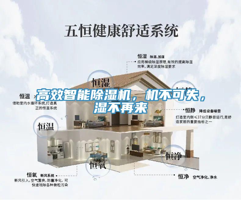 高效智能除濕機(jī)，機(jī)不可失，濕不再來(lái)