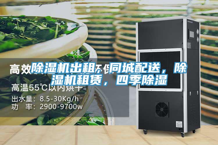 除濕機(jī)出租，同城配送，除濕機(jī)租賃，四季除濕