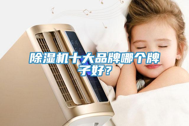 除濕機(jī)十大品牌哪個(gè)牌子好？
