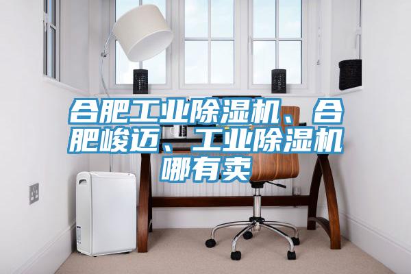 合肥工業(yè)除濕機(jī)、合肥峻邁、工業(yè)除濕機(jī)哪有賣