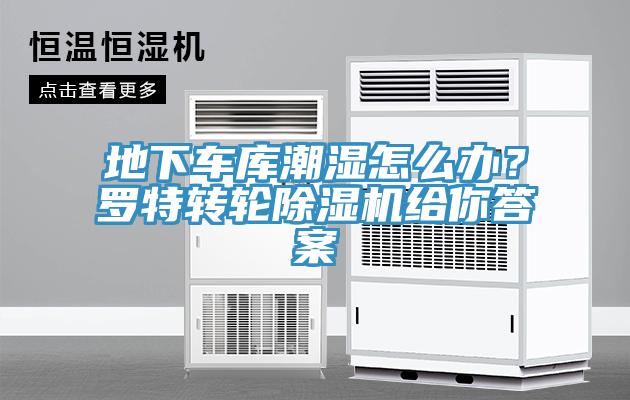 地下車庫潮濕怎么辦？羅特轉(zhuǎn)輪除濕機給你答案