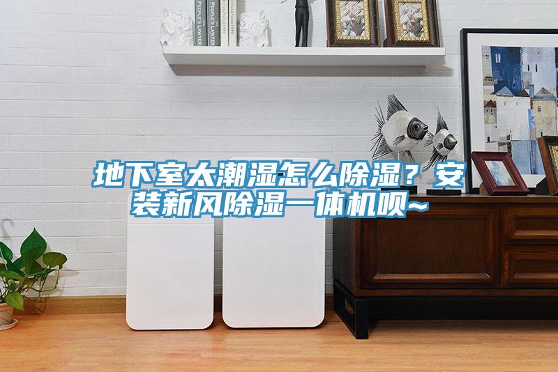 地下室太潮濕怎么除濕？安裝新風(fēng)除濕一體機唄~