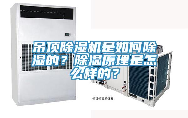 吊頂除濕機(jī)是如何除濕的？除濕原理是怎么樣的？