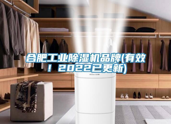 合肥工業(yè)除濕機(jī)品牌(有效！2022已更新)