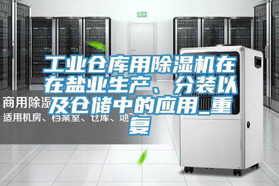 工業(yè)倉庫用除濕機在在鹽業(yè)生產(chǎn)、分裝以及倉儲中的應用_重復