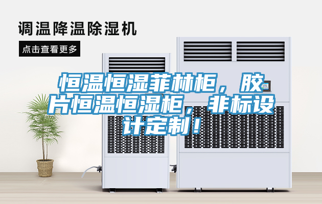 恒溫恒濕菲林柜，膠片恒溫恒濕柜，非標(biāo)設(shè)計(jì)定制！