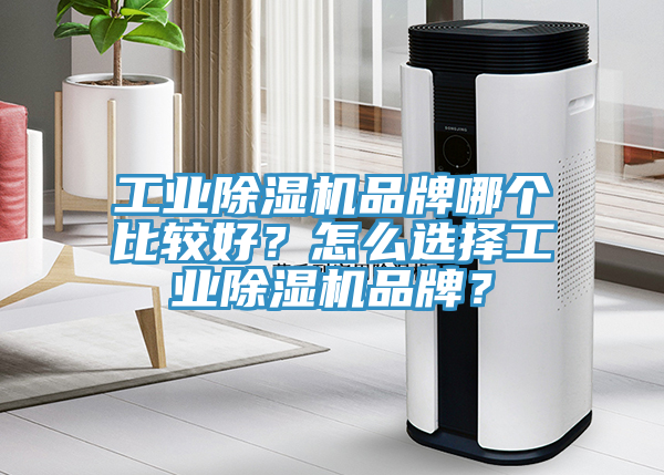 工業(yè)除濕機(jī)品牌哪個(gè)比較好？怎么選擇工業(yè)除濕機(jī)品牌？