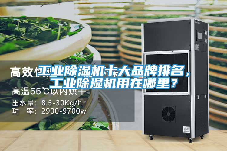 工業(yè)除濕機(jī)十大品牌排名，工業(yè)除濕機(jī)用在哪里？