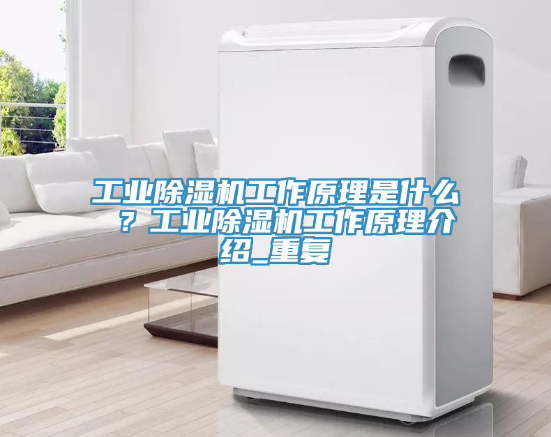 工業(yè)除濕機(jī)工作原理是什么 ？工業(yè)除濕機(jī)工作原理介紹_重復(fù)