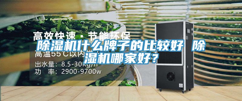 除濕機(jī)什么牌子的比較好 除濕機(jī)哪家好？
