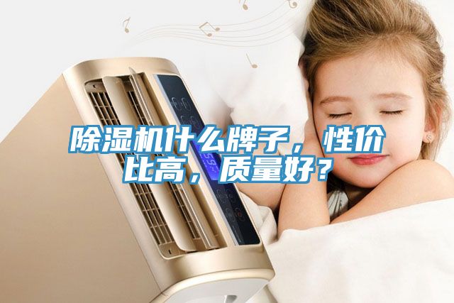 除濕機什么牌子，性價比高，質(zhì)量好？
